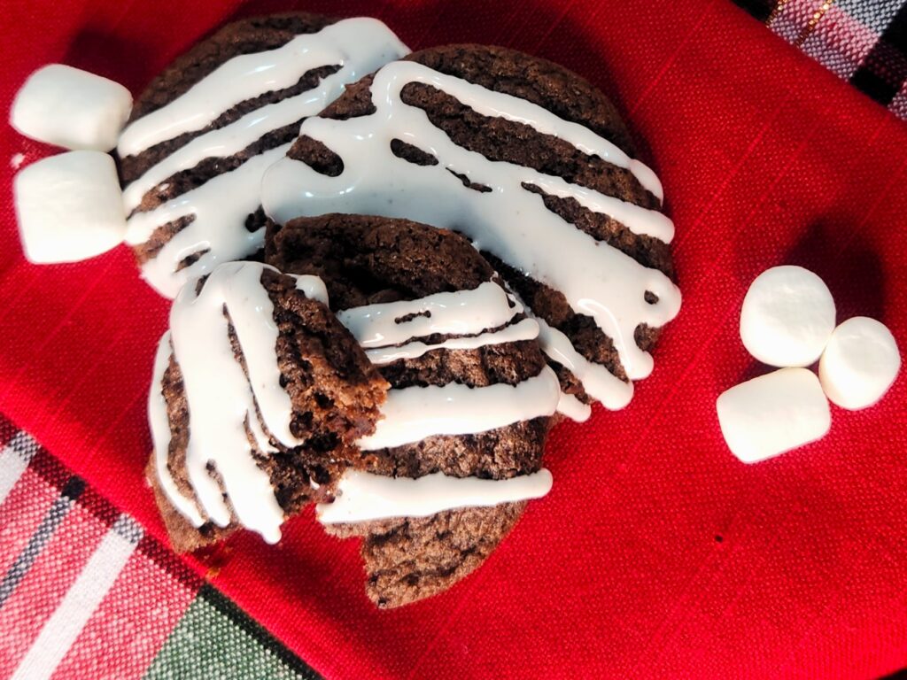 Chewy Cocoa Cookies
